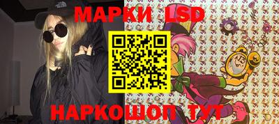 индика Вязники