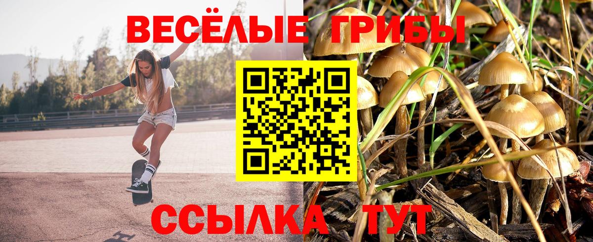 Мурино  Псилоцибиновые грибы мухоморы  купить закладку  Вход с VPN  Псилоцибиновые грибы GOLDEN TEACHER 